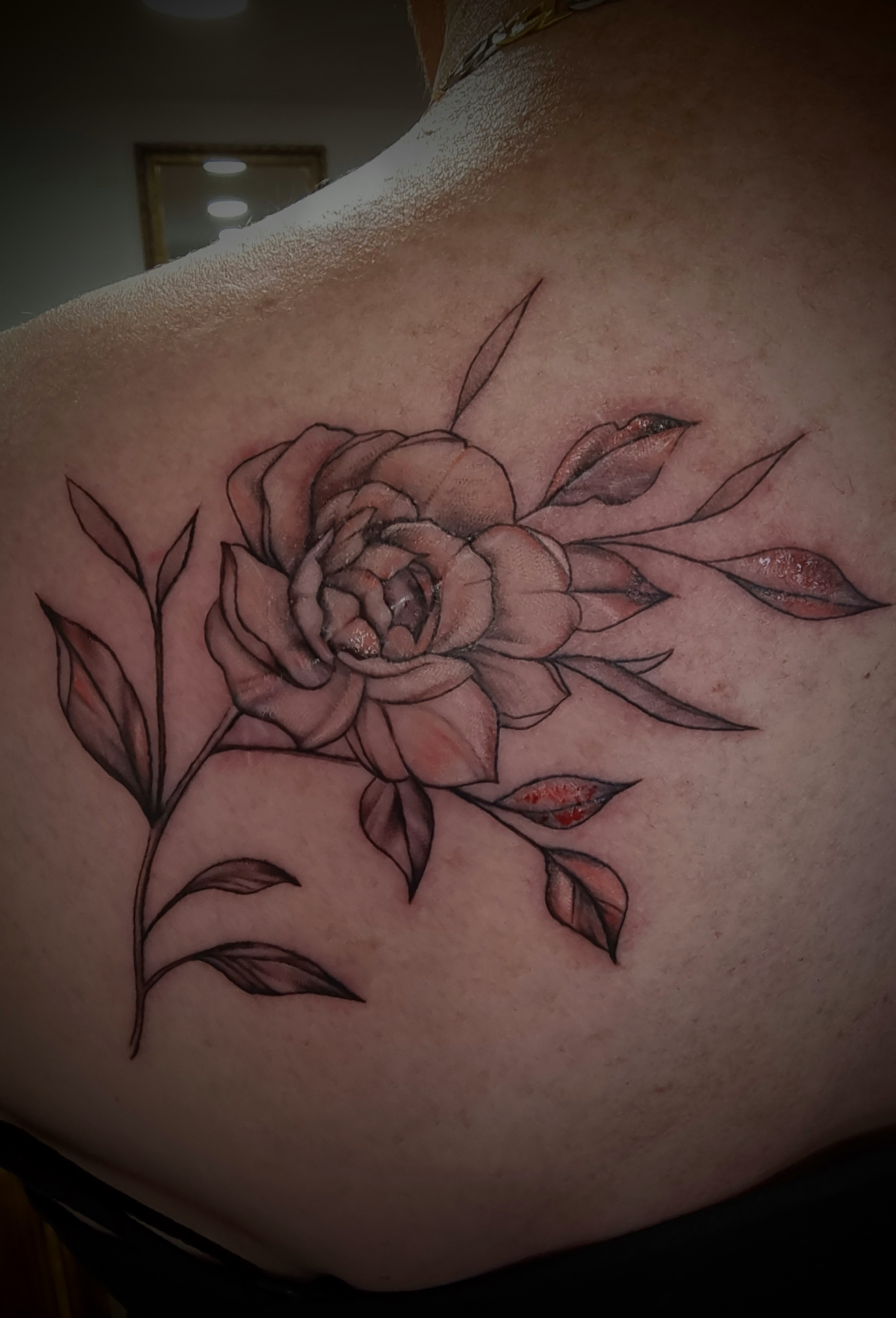 Frisch gestochenes Blumentattoo mit Rose und Blaettern auf der Schulter