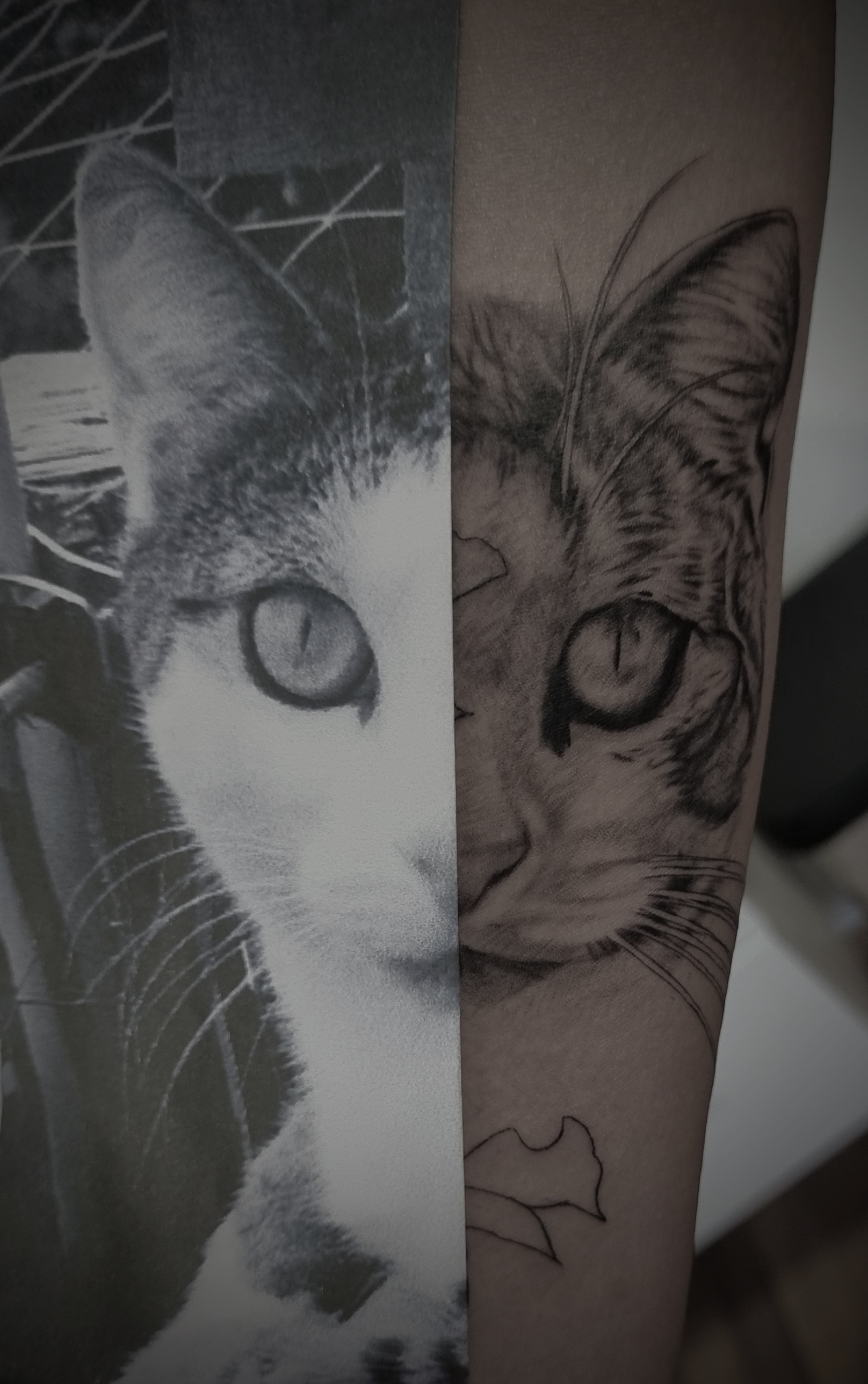 Realistisches Katzen Tattoo auf Arm neben schwarzweissem Foto der Katze